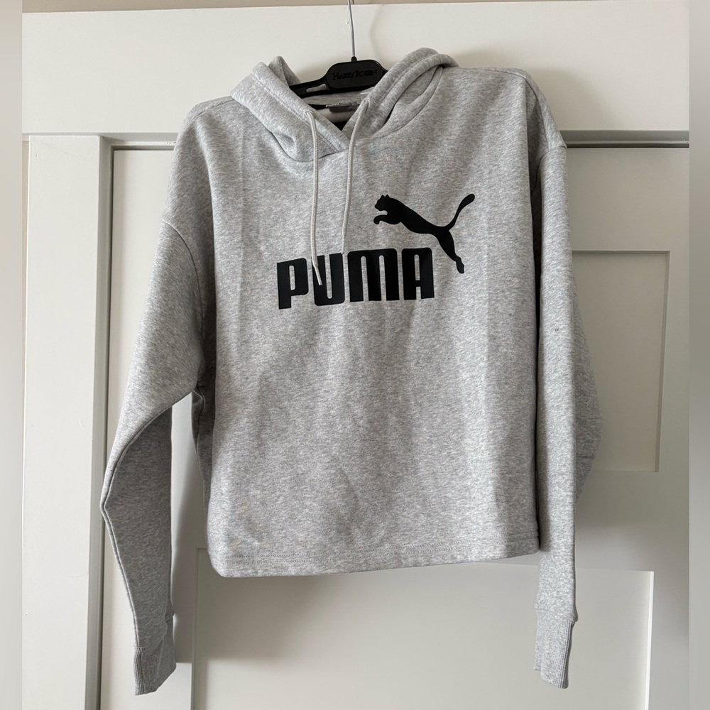 Puma Light Gray Relaxed Fit Hoodie